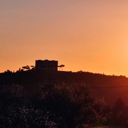 Da Clodet Villa Trani Esterno foto